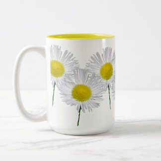 Gänseblümchen Fleabanes Zweifarbige Tasse