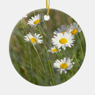 Gänseblümchen Foto Schmuck Keramik Ornament