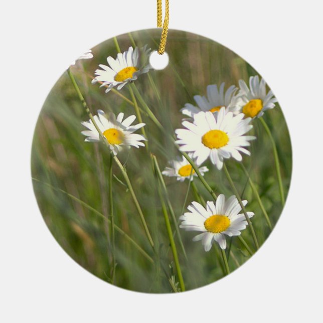 Gänseblümchen Foto Schmuck Keramik Ornament (Vorne)