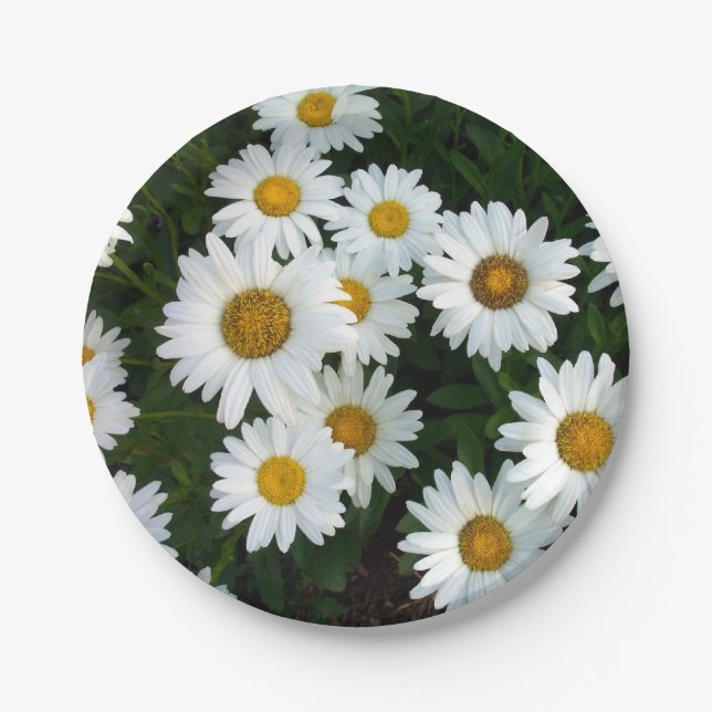 Gänseblümchen-Freuden-Papier-Teller Pappteller (Vorderseite)