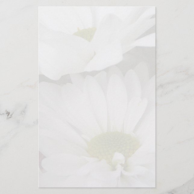 Gänseblümchen-Gedämpftes Blumen Briefpapier (Vorderseite)