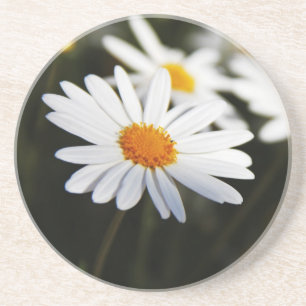 Gänseblümchen Getränkeuntersetzer