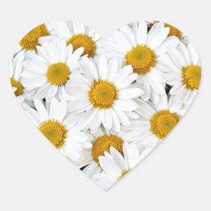 Gänseblümchen Herz-Aufkleber