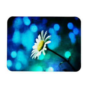 Gänseblümchen in blauem und grünem Licht Magnet