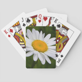 Gänseblümchen in der Blüte Spielkarten