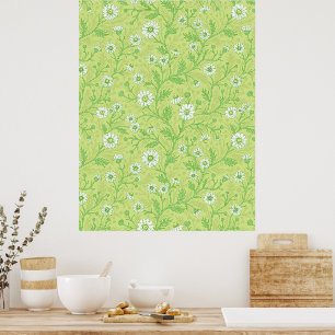 Gänseblümchen in weiß und grün auf honigmelonen-gr poster