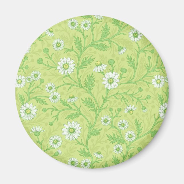 Gänseblümchen in weiß und grün auf honigmelonengrü magnet (Vorne)