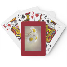 Gänseblümchen-Karten