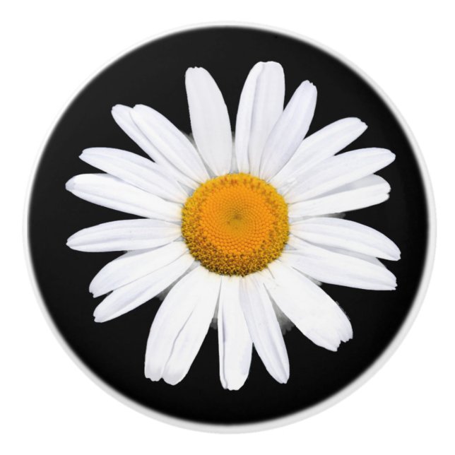 Gänseblümchen-Keramik-Griff Keramikknauf (Vorderseite)