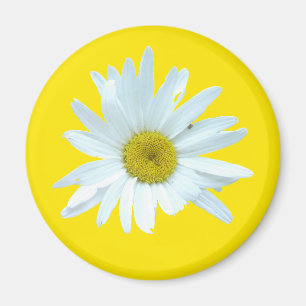 Gänseblümchen-Magnet Magnet