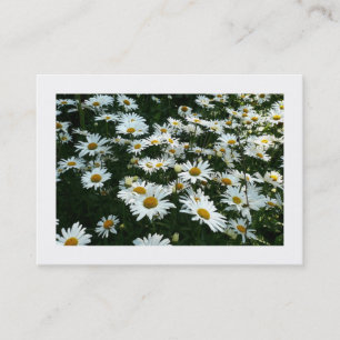 Gänseblümchen, Mini-Fotokarte Visitenkarte
