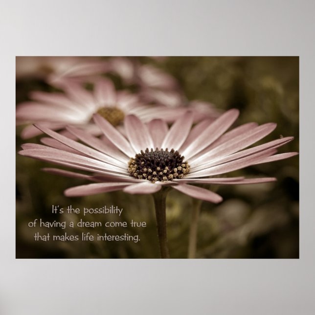 Gänseblümchen mit inspirierendem Zitat Poster (Vorne)