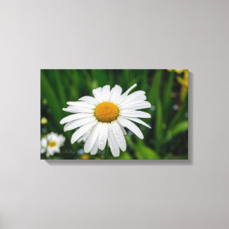 Gänseblümchen mit Wasser eingewickelter Leinwand