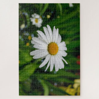 Gänseblümchen mit Wasser-Puzzlespiel Puzzle