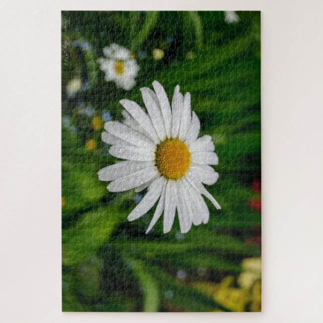 Gänseblümchen mit Wasser-Puzzlespiel Puzzle (Vertikal)