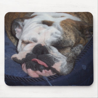 Gänseblümchen Mousepad