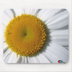 Gänseblümchen Mousepad