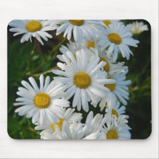 Gänseblümchen Mousepad