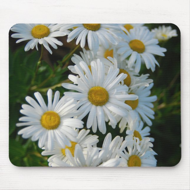 Gänseblümchen Mousepad (Vorne)