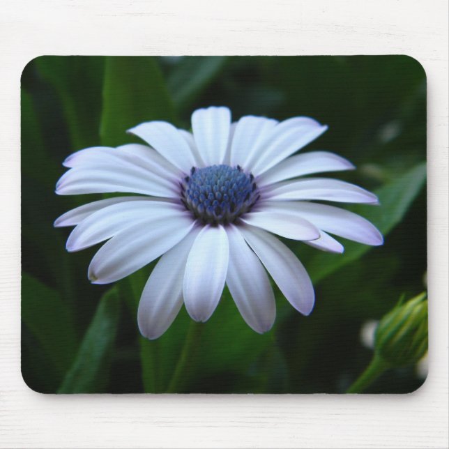 Gänseblümchen Mousepad (Vorne)