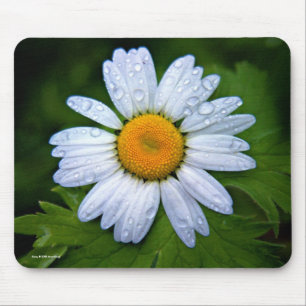 Gänseblümchen Mousepad
