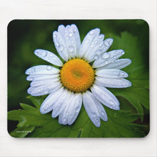 Gänseblümchen Mousepad (Vorne)