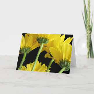 Gänseblümchen-Nahaufnahme Karte