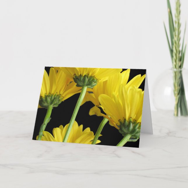 Gänseblümchen-Nahaufnahme Karte (Vorderseite)