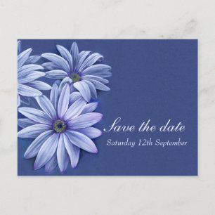 Gänseblümchen osteospermum, das Save the Date Ankündigungspostkarte