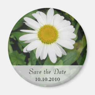 Gänseblümchen-personalisierter Save the Date Magnet