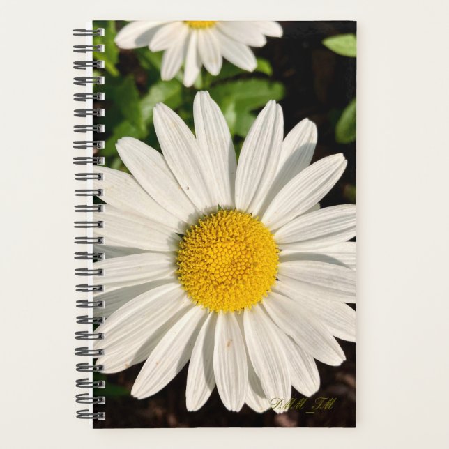 Gänseblümchen-Planer. Planer (Vorderseite)