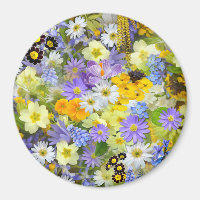 Gänseblümchen, Primel, Osterglocken Blumen