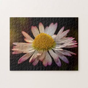 Gänseblümchen Puzzle