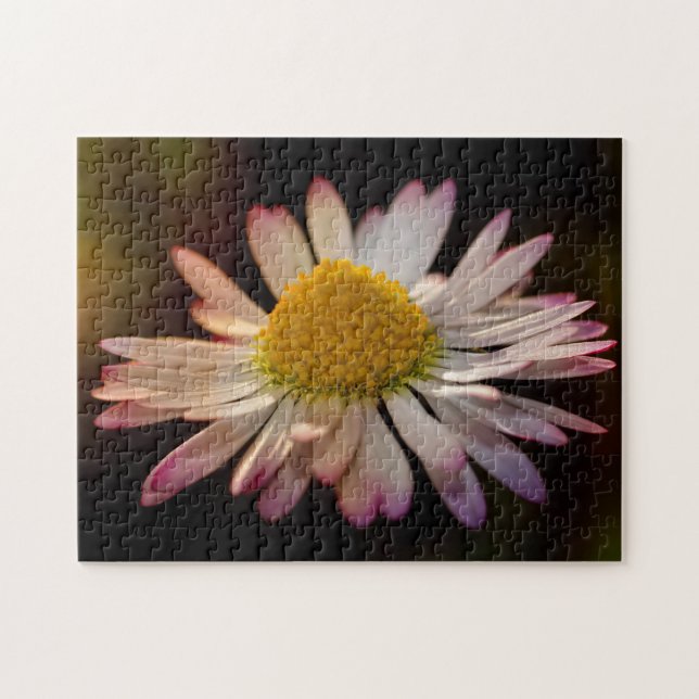 Gänseblümchen Puzzle (Horizontal)