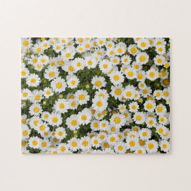 Gänseblümchen Puzzle (Horizontal)