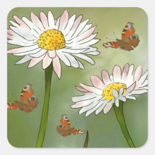 Gänseblümchen Quadratischer Aufkleber