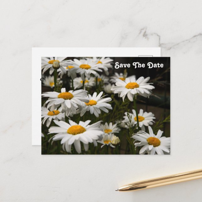 Gänseblümchen Save The Date Postkarte (Vorderseite/Rückseite Beispiel)