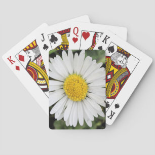 Gänseblümchen Spielkarten