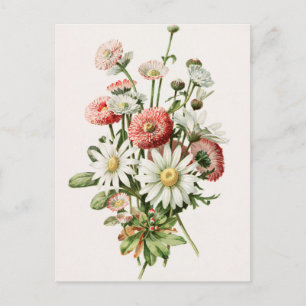 Gänseblümchen-Strauß Postkarte