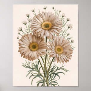 Gänseblümchen Traumwelt Poster