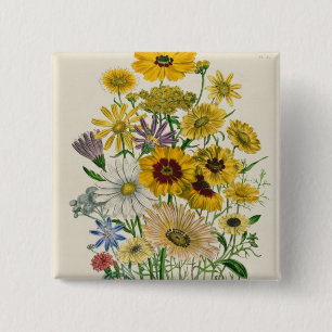 Gänseblümchen, überziehen 31 "von den Damen Button