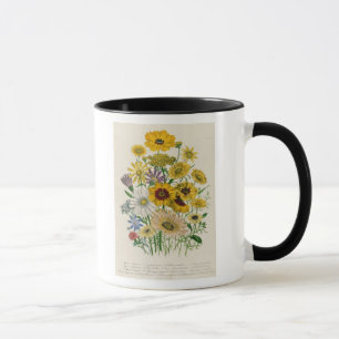 Gänseblümchen, überziehen 31 "von den Damen Tasse