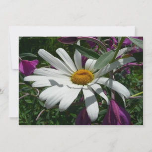 Gänseblümchen und Schmalzweide-Wildblume Karte