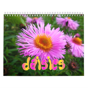 Gänseblümchen-Wandkalender Kalender