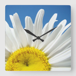 Gänseblümchen Wanduhr Geschenke Dekorative Designe