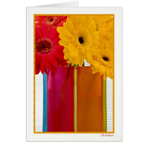 Gänseblümchenfreude VII