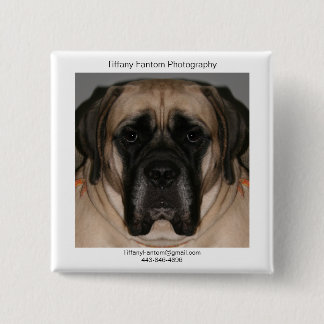 GänseblümchenPromo Button