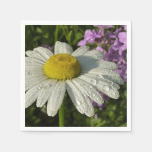 Gänseblume und Hesperis Botanik Serviette