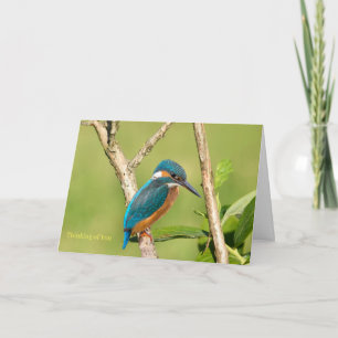 Gänsefischer für Get Well Card Karte