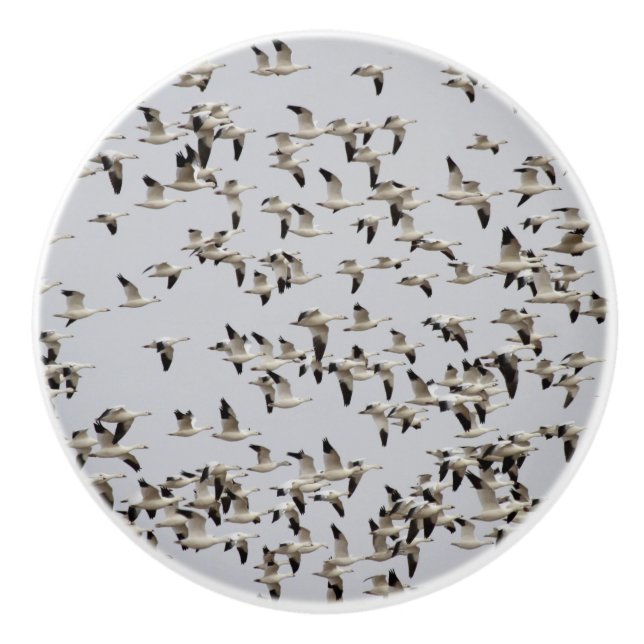 Gänsefliege Keramikknauf (Vorderseite)